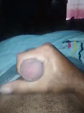 taylorWiiz online show from February 11, 2:28 pm