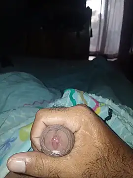 taylorWiiz online show from March 3, 12:56 pm