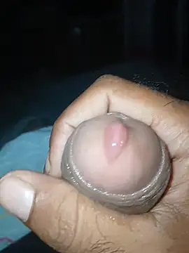 taylorWiiz online show from December 16, 11:14 am