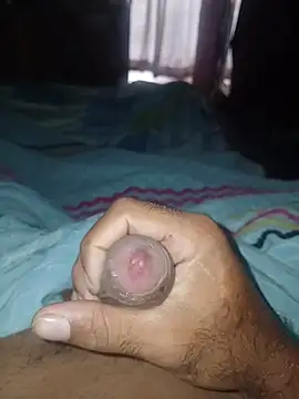 taylorWiiz online show from February 20, 2:41 pm