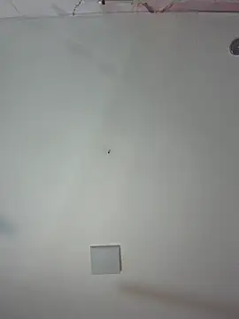 kiim taaylor online show from February 25, 11:32 am