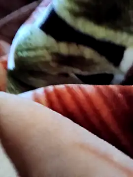 yhona darling online show from December 19, 5:32 am