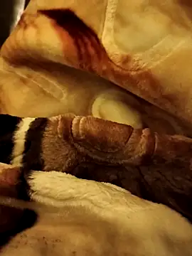 yhona darling online show from December 16, 5:17 pm