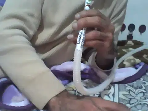 Soso2025s online show from March 9, 1:58 pm