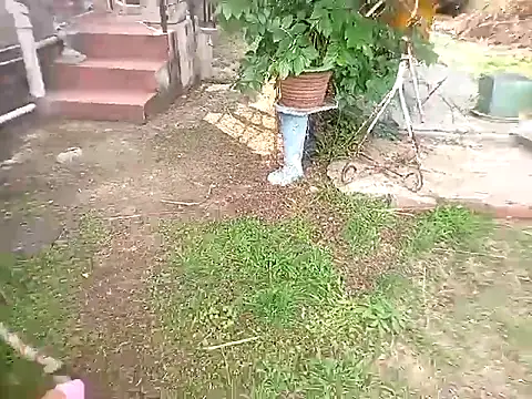 bustybillies online show from October 11, 3:57 pm