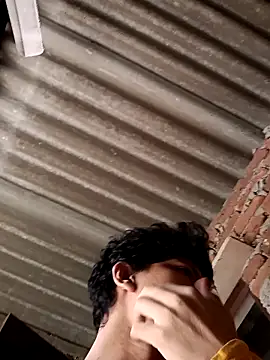 Dreamdaze2025 online show from April 7, 3:30 am