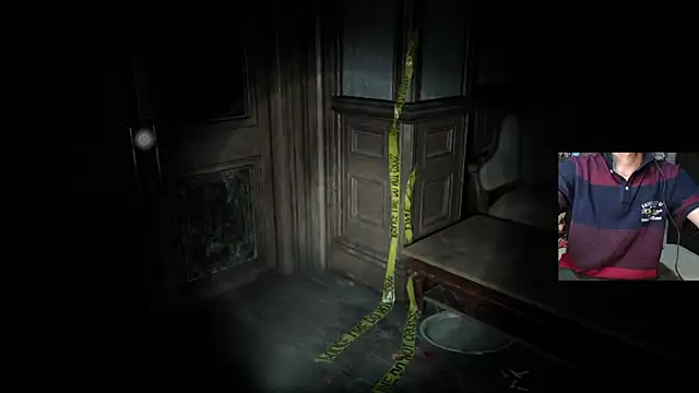 Dreamdaze2025 online show from April 12, 5:38 pm