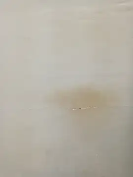 Snapshot of Rina777o chatting on March 7, 6:11 pm Rina777o online show from March 7, 6:11 pm