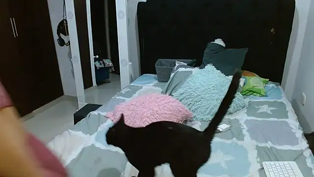 Snapshot of amazonafit_ chatting on February 27, 4:13 am amazonafit online show from February 27, 4:13 am