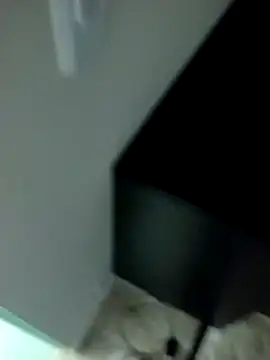 lm279 online show from February 17, 6:28 pm