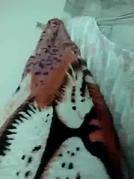 lm279 online show from March 16, 9:16 am