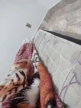 lm279 online show from February 27, 1:08 am