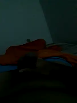 lm279 online show from January 17, 3:48 pm