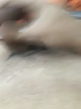 lm279 online show from February 11, 3:45 pm