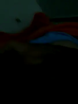 lm279 online show from November 28, 10:26 am