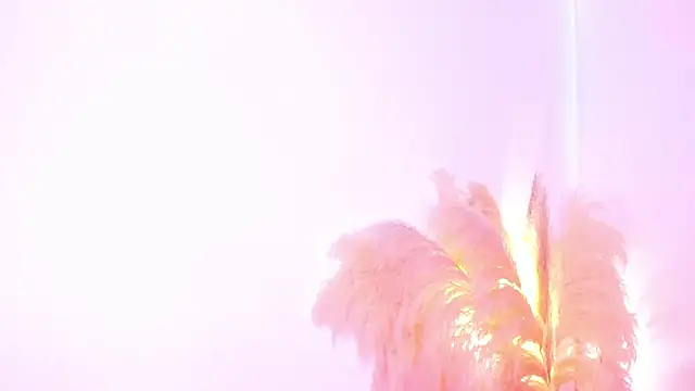 Snapshot of amelie_murphy_ chatting on February 2, 5:04 pm amelie murphy online show from February 2, 5:04 pm