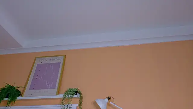 ParisFox  online show from February 21, 10:12 pm