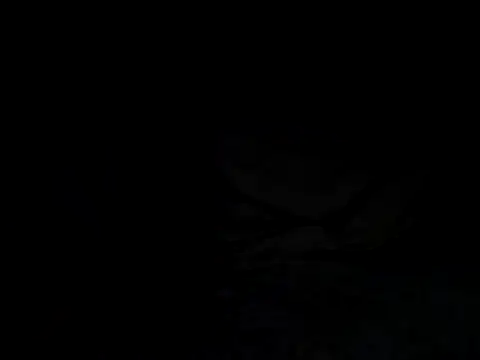 Snapshot of tonkisa chatting on July 8, 9:48 pm tonkisa online show from July 8, 9:48 pm