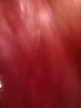 Kim 19 online show from October 30, 4:11 am