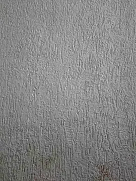 Priya Strip online show from May 3, 11:47 am