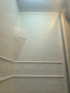 Cobra500hp online show from March 29, 12:51 pm