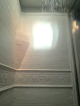 Cobra500hp online show from March 27, 7:15 pm