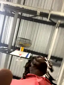 sneakylink13   online show from October 20, 1:18 am