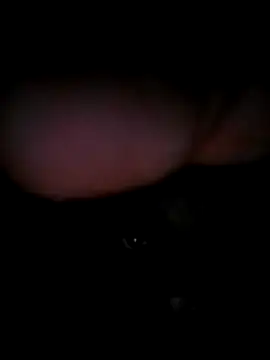 chubbybear322 online show from December 19, 10:56 pm