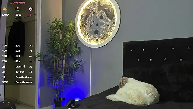 Snapshot of jordan_mayers02 chatting on December 3, 10:03 am jordan mayers02 online show from December 3, 10:03 am