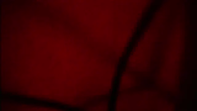 Nathaly love96 online show from September 12, 6:07 pm