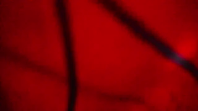 Nathaly love96 online show from February 20, 7:38 pm