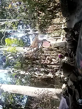 AssamSilchar93 online show from February 7, 6:10 am