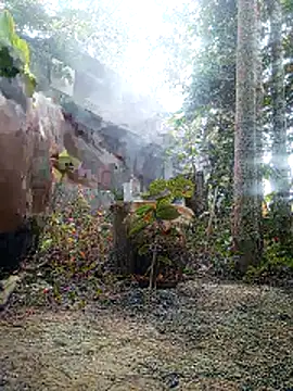 AssamSilchar93 online show from February 1, 9:18 am