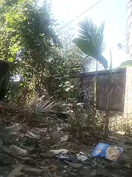 AssamSilchar93 online show from February 8, 6:55 am