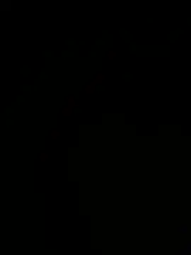 Jan4576 online show from January 11, 12:12 pm