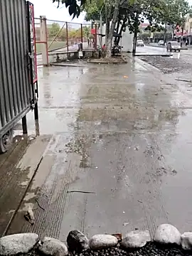 Snapshot of BeetledFlouter12 chatting on September 26, 7:10 pm BeetledFlouter12 online show from September 26, 7:10 pm