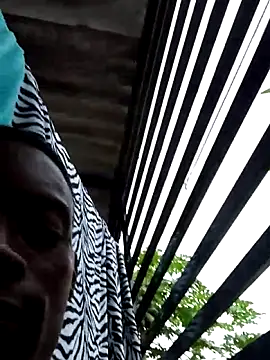 Snapshot of BeetledFlouter12 chatting on December 17, 9:42 pm BeetledFlouter12 online show from December 17, 9:42 pm