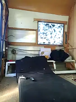 ed44435 online show from November 10, 4:23 pm