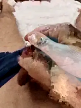 Sperma-V-rotik online show from December 22, 6:19 pm