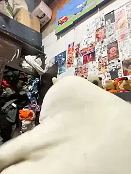 Snapshot of dafne19_ chatting on February 6, 4:08 am dafne19 online show from February 6, 4:08 am