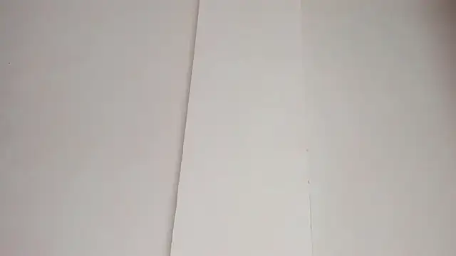 LiaFlowers online show from February 23, 7:22 am