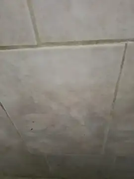 AlkalineCalmness online show from April 11, 6:32 am