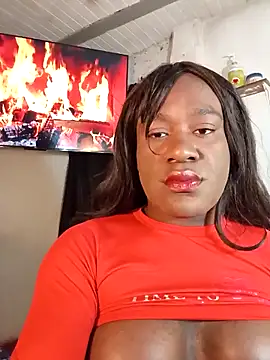 exoty black cock online show from February 14, 9:31 am