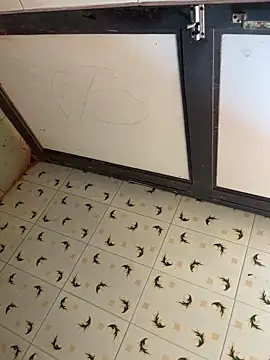 SnapIDRakesh4 online show from March 21, 7:11 am