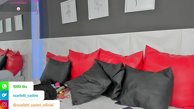 Snapshot of scarlet_castro chatting on February 18, 2:49 pm scarlet castro online show from February 18, 2:49 pm