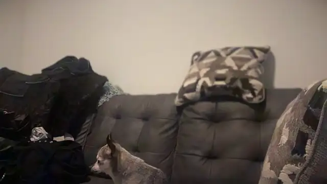 RavenRayyy online show from October 22, 4:34 am