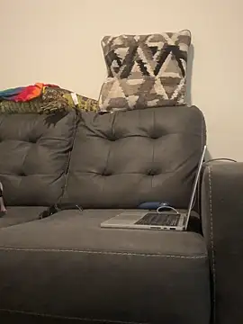 RavenRayyy online show from November 30, 10:05 am