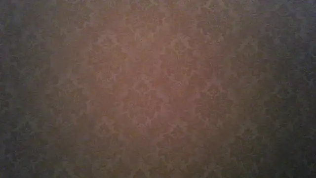 Snapshot of Kashtanka_ chatting on November 21, 4:55 am Kashtanka online show from November 21, 4:55 am