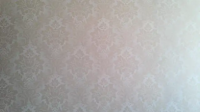 Snapshot of Kashtanka_ chatting on October 1, 8:08 am Kashtanka online show from October 1, 8:08 am