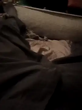 Snapshot of armdy371 chatting on November 15, 10:14 pm armdy371 online show from November 15, 10:14 pm